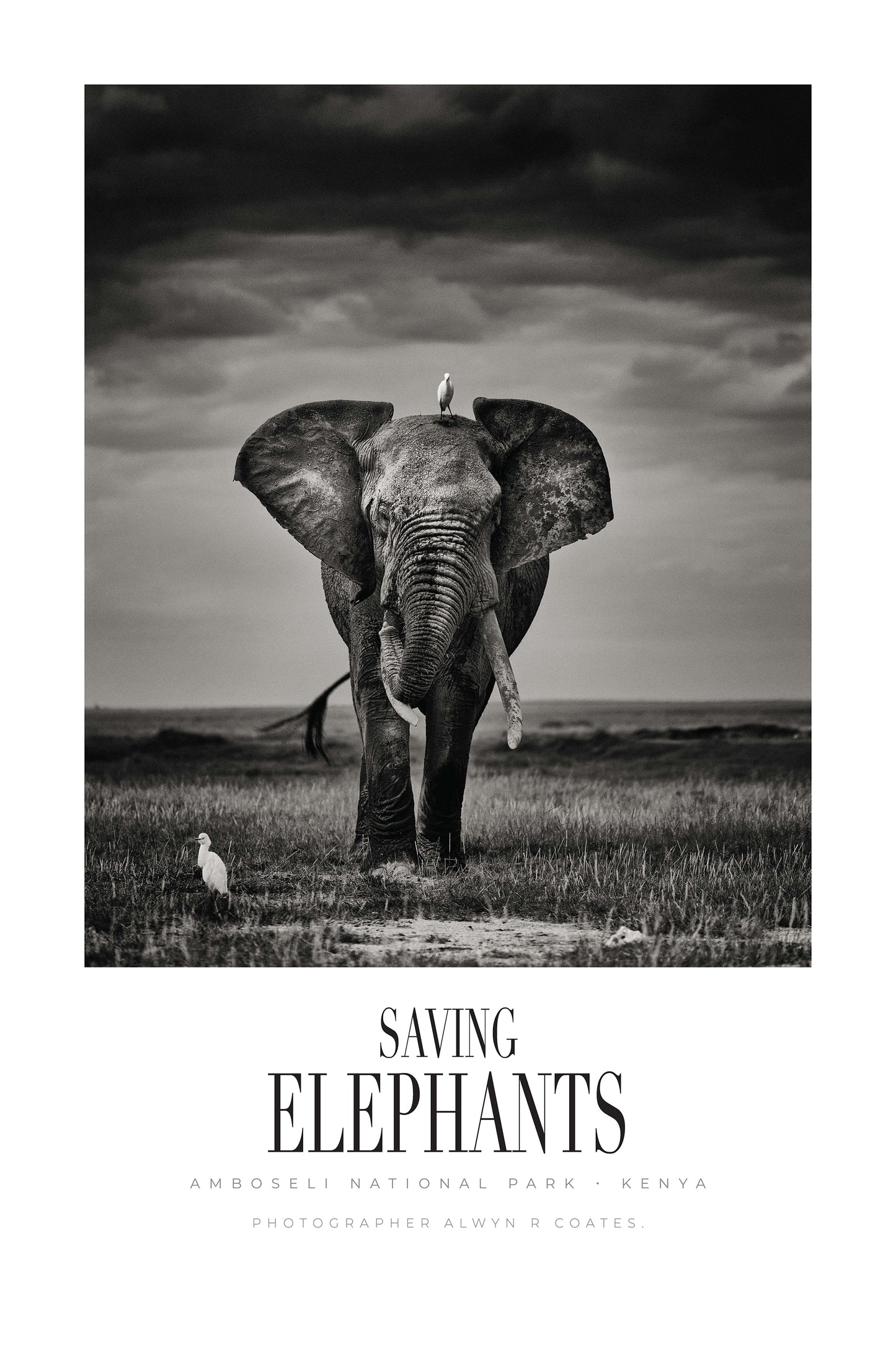 Limited Edition Signed Lithographic Print. Free shipping in uk and some other countries.