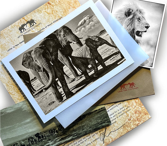 Love for Elephants Monthly Mail Club