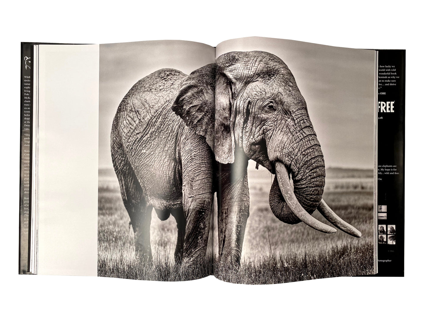 Saving Elephants Luxury Coffee Table Book, makes the perfect gift. And helps us save elephants, Shipping free in uk