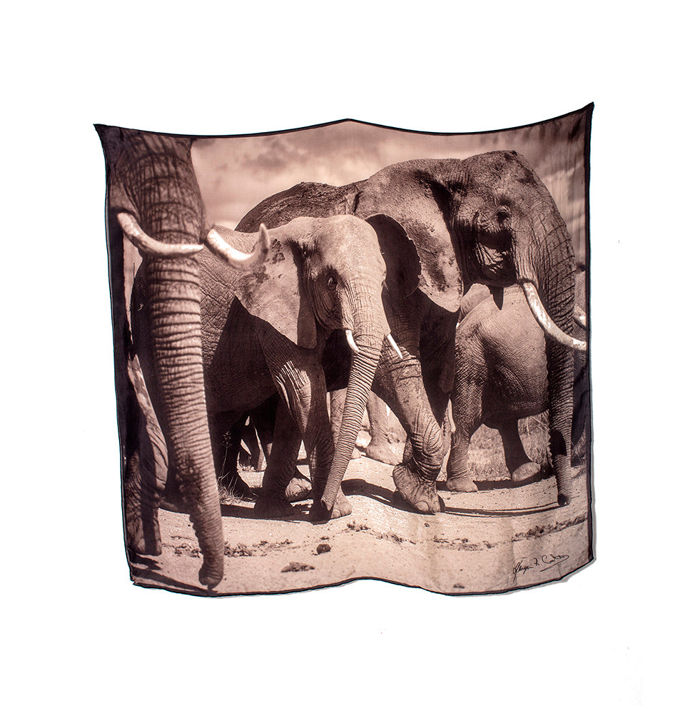 Walking With Elephants Silk Scarf. Limited Edition 15 Scarves. Only 1 Left