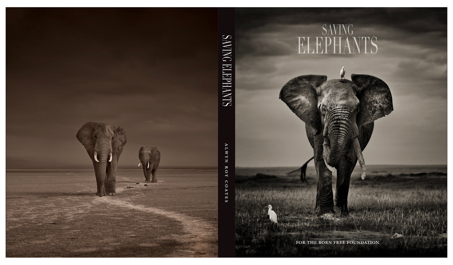 Saving Elephants Luxury Coffee Table Book, makes the perfect gift. And helps us save elephants