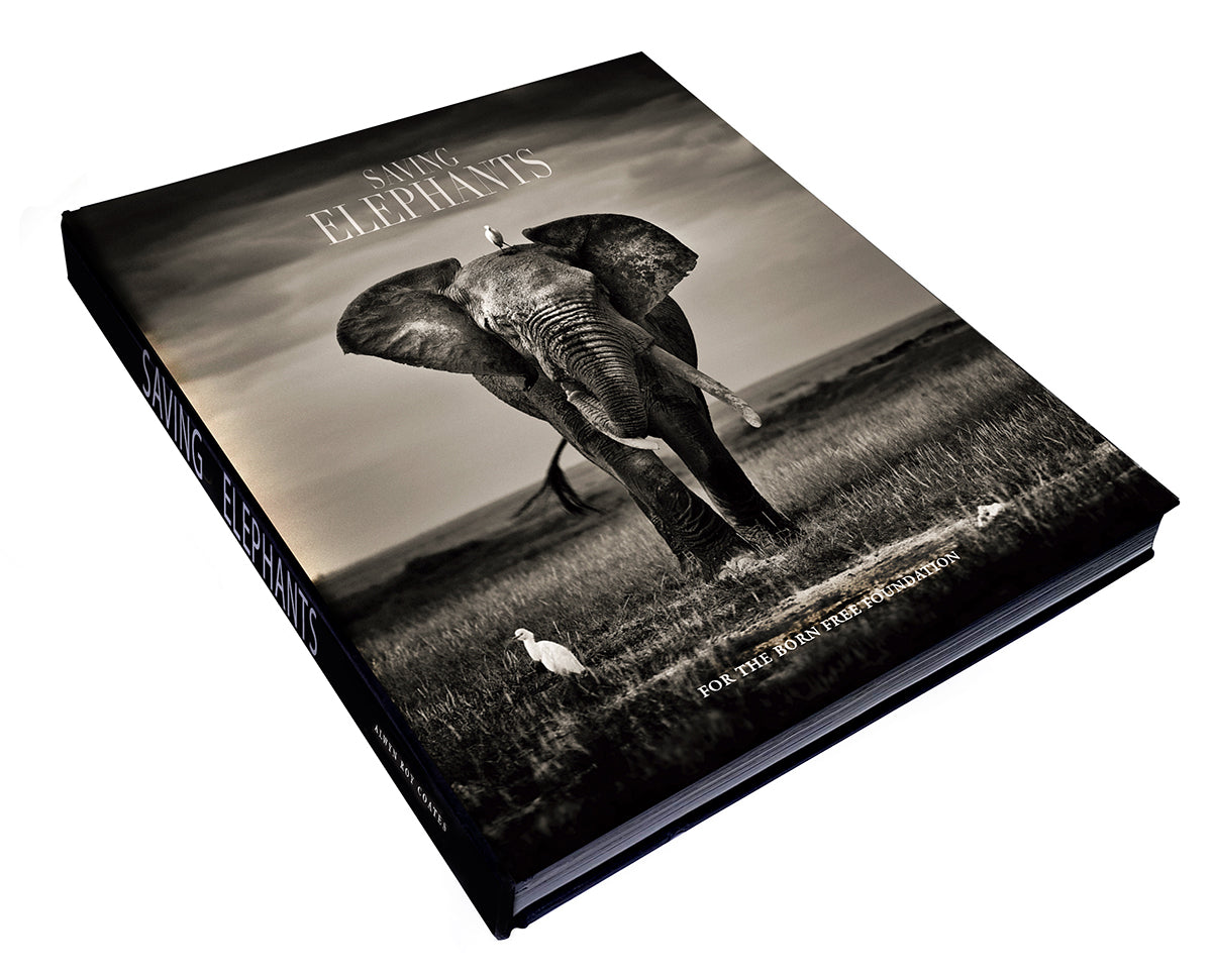 Saving Elephants Book / Pick Up only