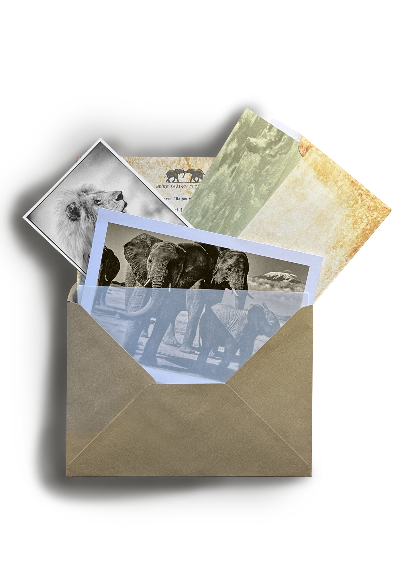 Love for Elephants Monthly Mail Club