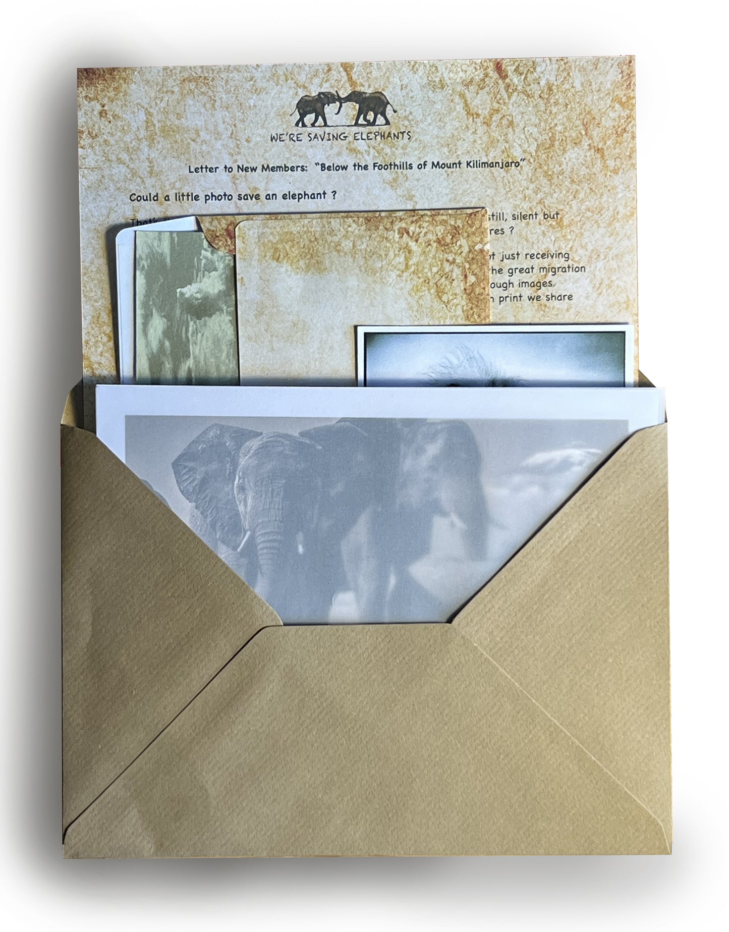 Love for Elephants Monthly Mail Club