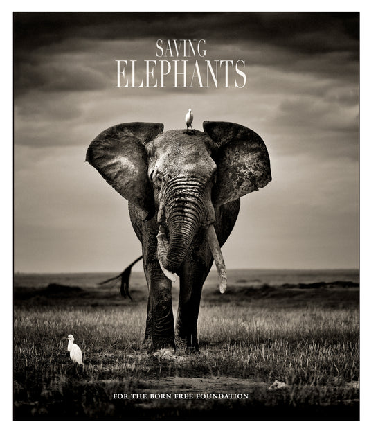Saving Elephants Luxury Coffee Table Book makes the perfect gift.