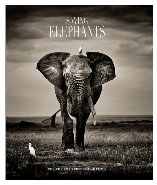 Saving Elephants Luxury Coffee Table Book, makes the perfect gift. And helps us save elephants, Shipping free in uk