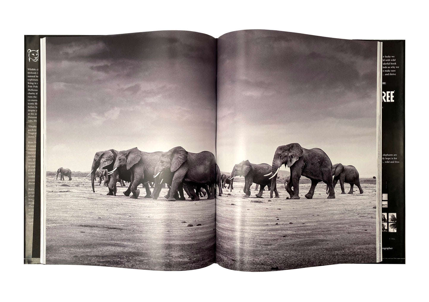 Saving Elephants Luxury Coffee Table Book, makes the perfect gift. And helps us save elephants