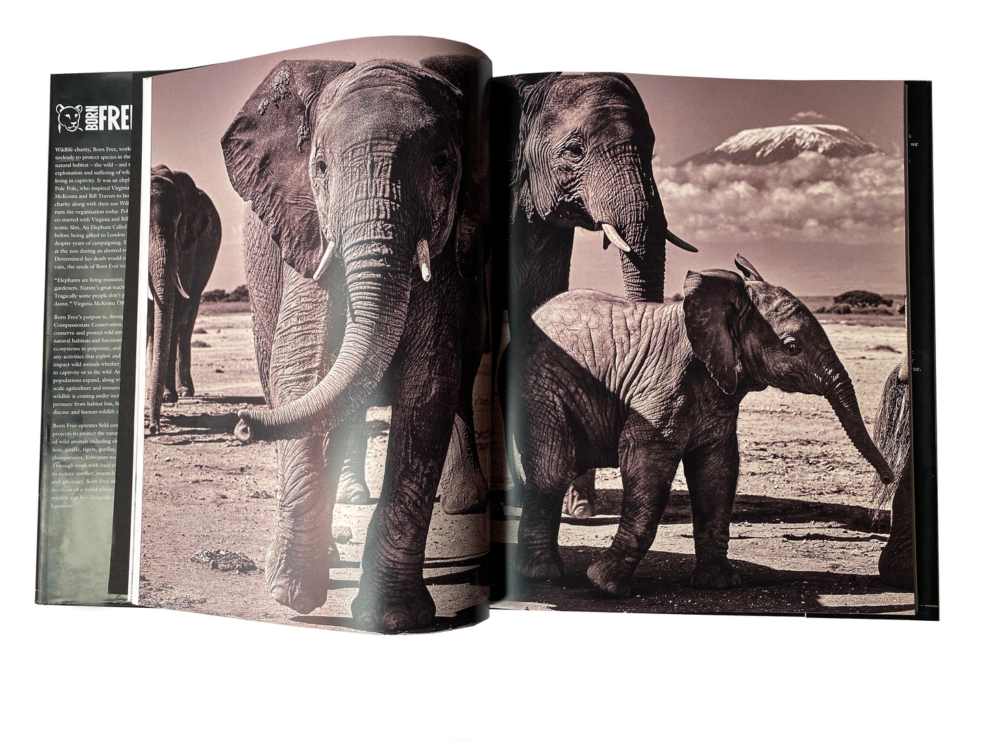 Saving Elephants Luxury Coffee Table Book, makes the perfect gift. And helps us save elephants